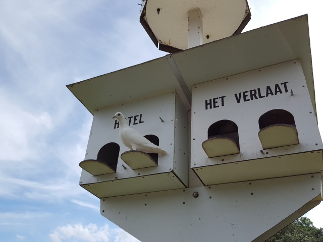 ../fotos/het_verlaat_2016/2016-06-29 16.52.46.jpg